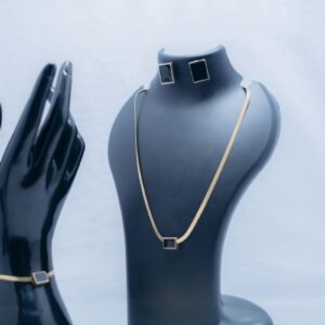 316 Stainless Steel Dangle Earrings & Necklace Se
